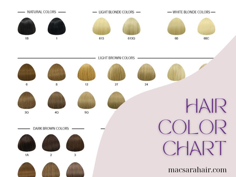 Understanding A Hair Color Chart: The Ultimate Guide