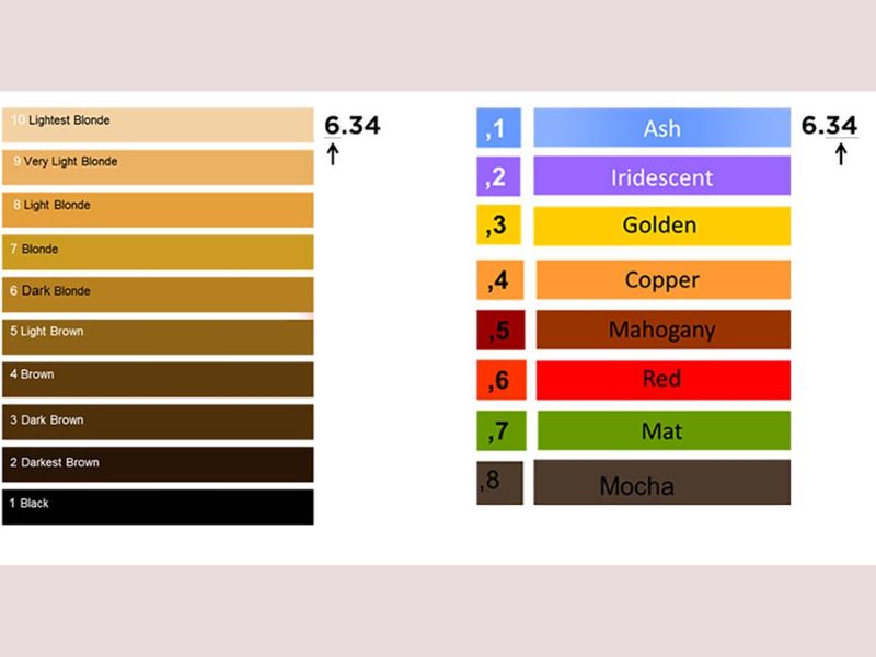 Understanding hair color levels and tones