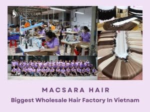 Macsara Hair The Biggest Wholesale Hair Factory In Vietnam