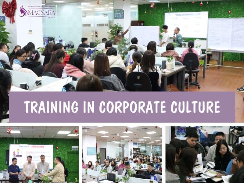 A Week’s Training In Corporate Culture At Macsara Hair