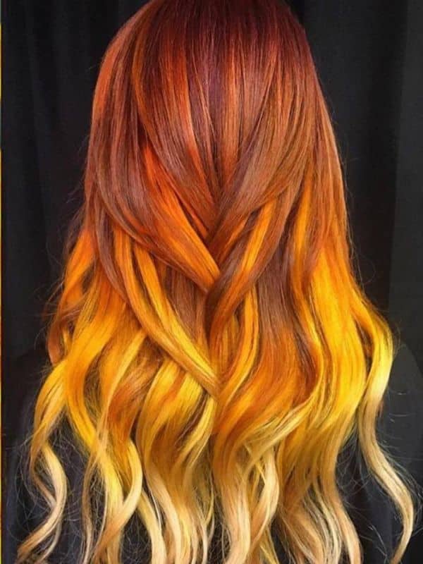 Sunflower Ombre