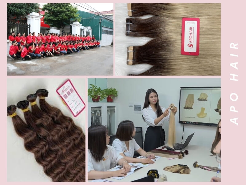 Apo Hair has been recognized as one of the pioneering hair vendors in Vietnam