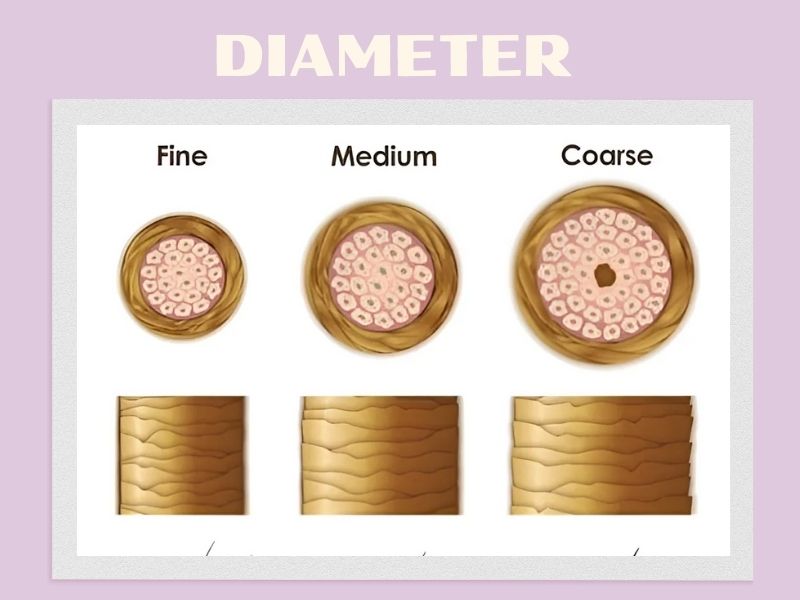 The first step to identifying thick and thin hair types is to measure the thickness