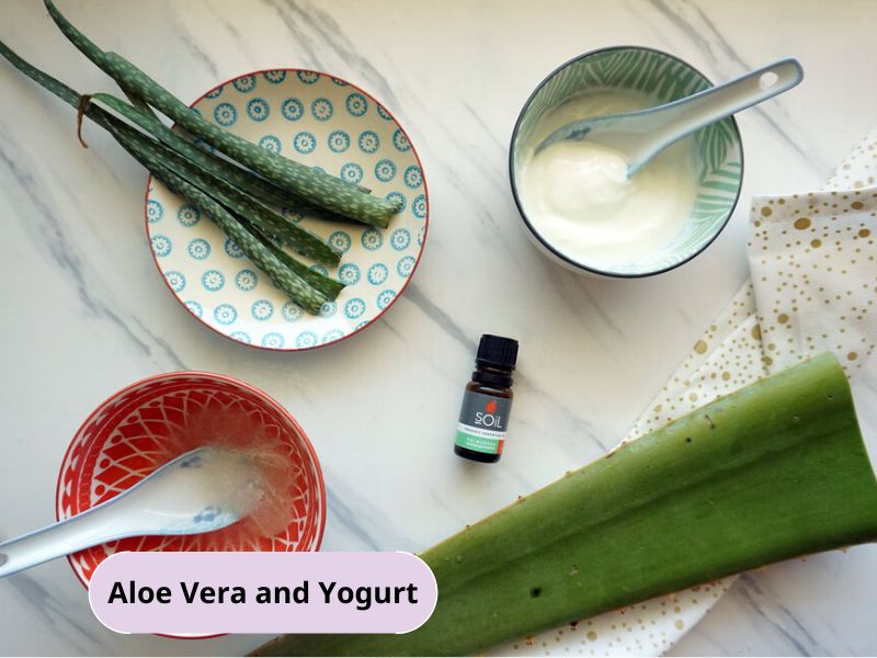 Aloe vera hair mask homemade with yogurt 