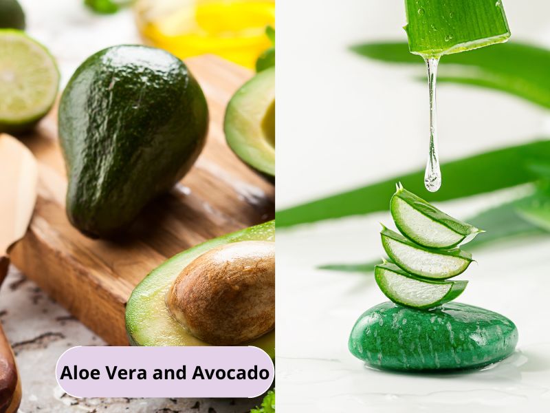 Hair mask with aloe vera and avocado