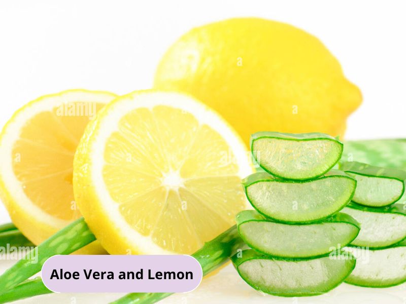 Lemon and aloe vera hair mask to reduce dandruff