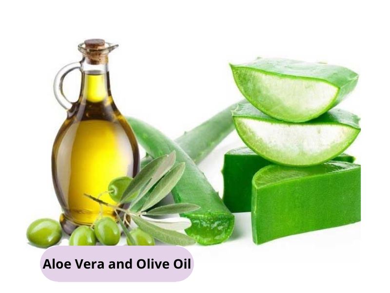 Use aloe vera and olive oil to make hair mask 