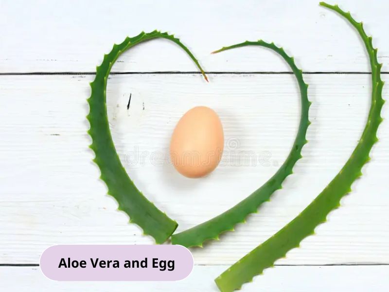 Use eggs to make hair mask with aloe vera