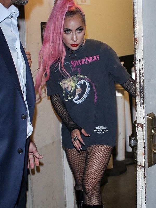 Lady Gaga The Pink High Ponytail