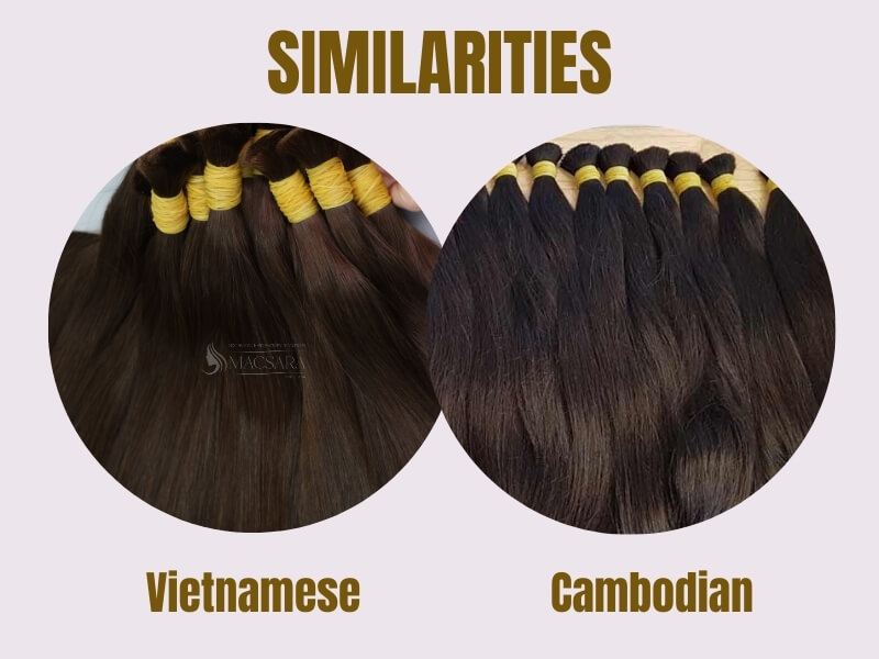 Vietnamese vs Cambodian hair shares several common characteristics