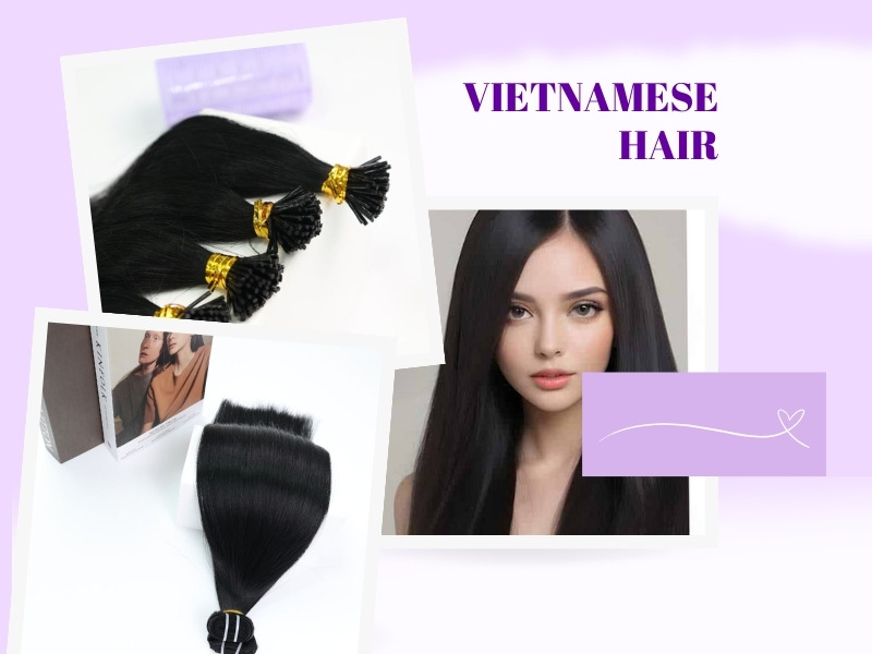 Vietnamese Hair