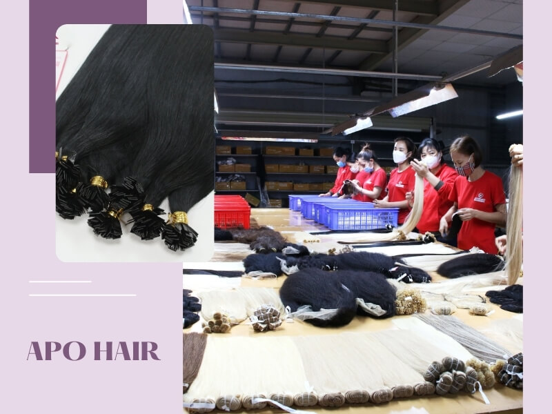 Apo Hair, a powerhouse among Vietnam hair suppliers