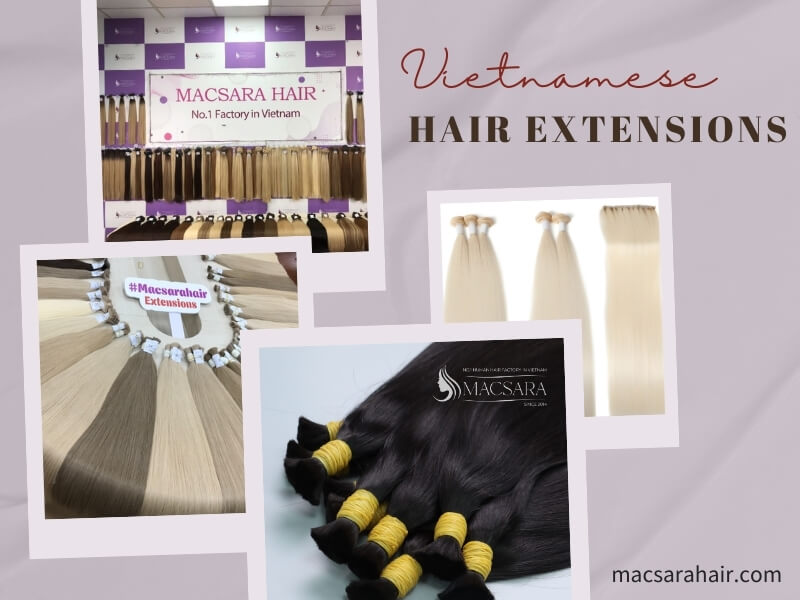 Vietnam is a leading exporter of human hair in the field