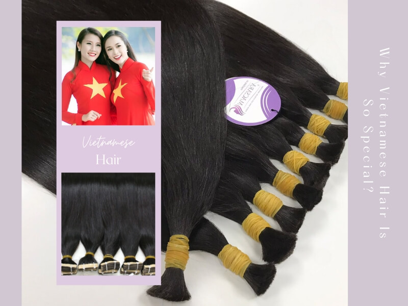 Vietnamese hair is renowned for its strength, thickness, and natural shine