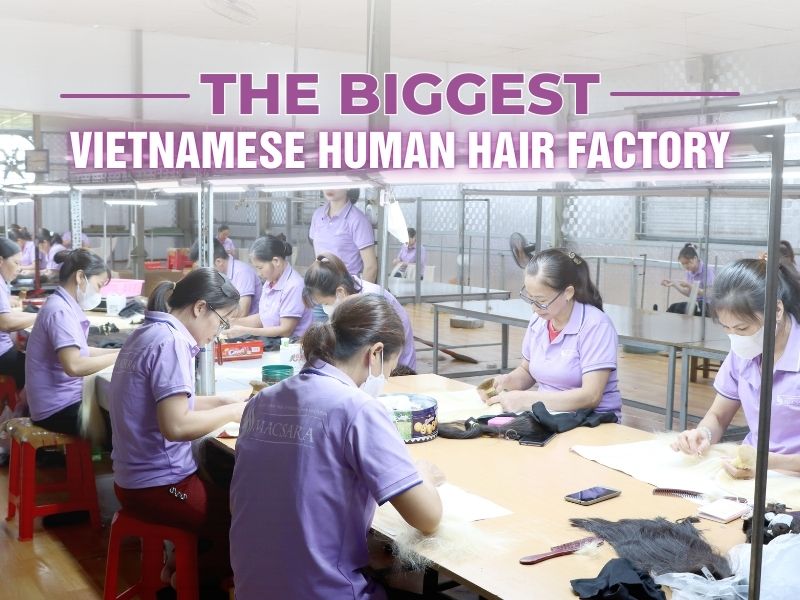 Macsara Hair - the biggest Vietnamese hair supplier